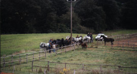Agriturismo Le Lupinaie - Gruppi Italiano Attacchi