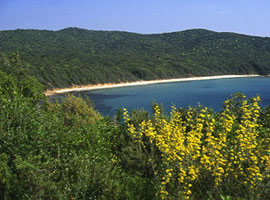 Agriturismo Le Lupinaie - Cala-Violina