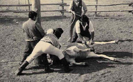 La Merca