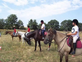 Agriturismo Le Lupinaie-Lezione di Equitazione