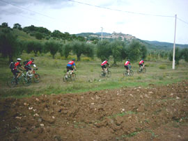 Agriturismo Le Lupinaie - Mountain Bike