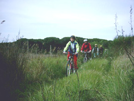 Agriturismo Le Lupinaie - Mountain Bike