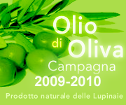 Offerta olio_2010