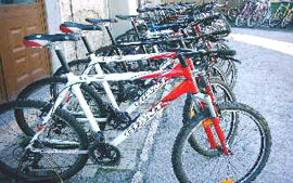 Agriturismo Le Lupinaie - Mountain Bike