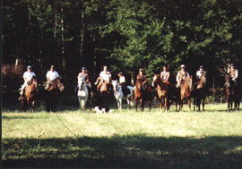 Agriturismo Le Lupinaie-passeggiata a cavallo