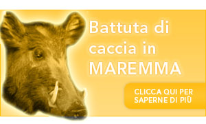 Agriturismo Le Lupinaie Offerta Caccia